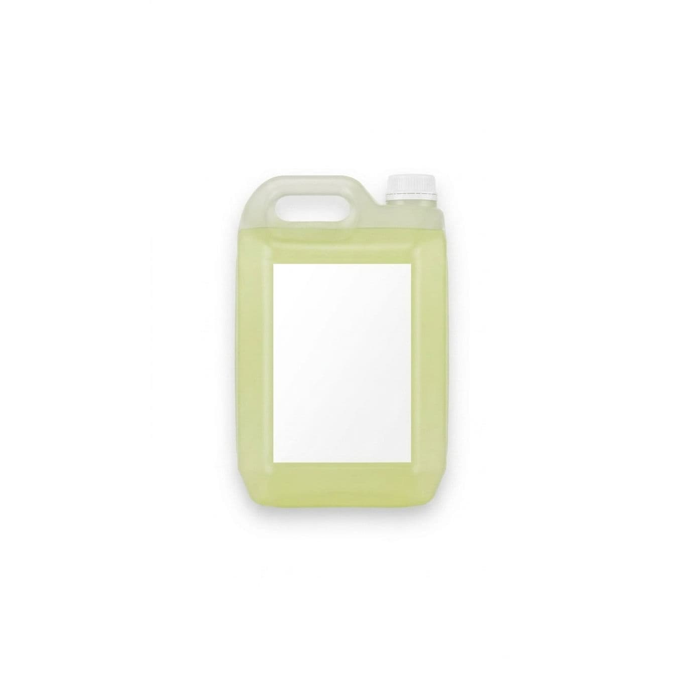 CLORO 100% BIDON X 5L 114G/L
